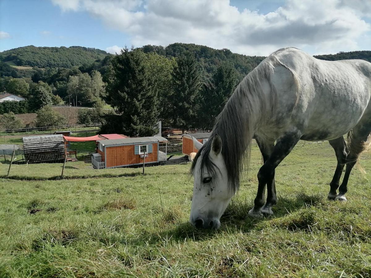 Zuruck Zur Natur - Urlaub Im Zirkuswagen, Sommeratelier Oder Schindelwagen Adenbach ภายนอก รูปภาพ