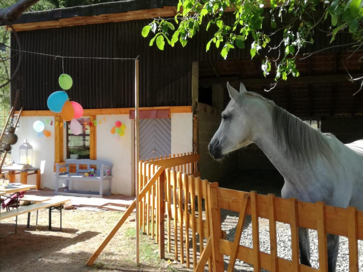 Zuruck Zur Natur - Urlaub Im Zirkuswagen, Sommeratelier Oder Schindelwagen Adenbach ภายนอก รูปภาพ